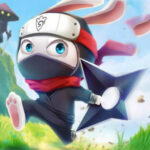 Ninja Rabbit - Emol.be